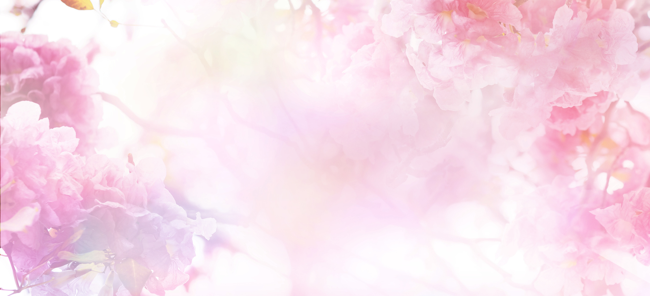 Floral abstract pastel background
